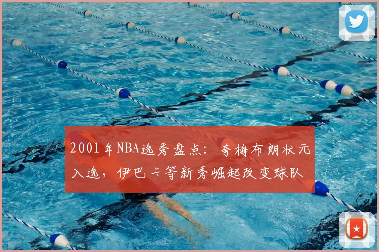 2001年NBA选秀盘点：夸梅布朗状元入选，伊巴卡等新秀崛起改变球队布局