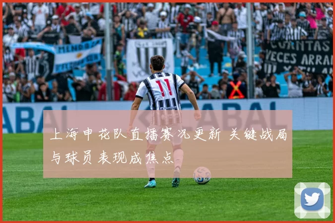 上海申花队直播赛况更新 关键战局与球员表现成焦点