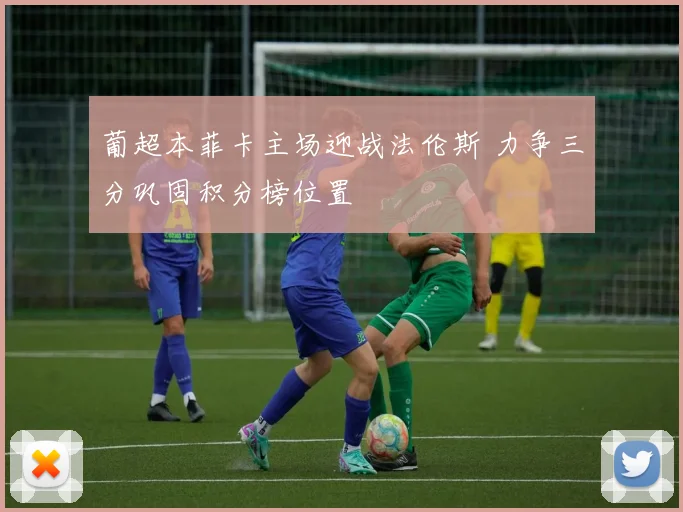 葡超本菲卡主场迎战法伦斯 力争三分巩固积分榜位置