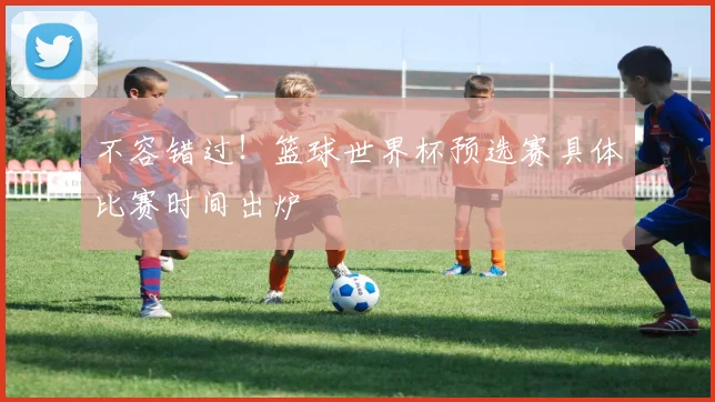 不容错过!篮球世界杯预选赛具体比赛时间出炉