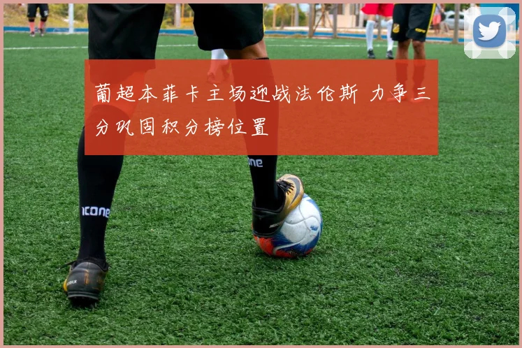 葡超本菲卡主场迎战法伦斯 力争三分巩固积分榜位置