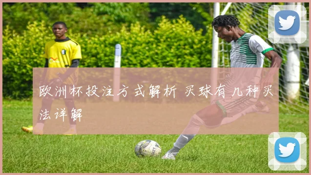 欧洲杯投注方式解析 买球有几种买法详解