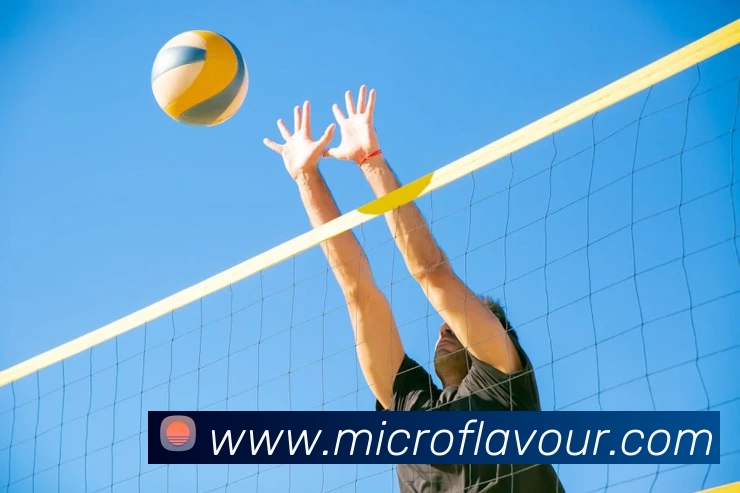 k1体育39152十年品牌品牌故事