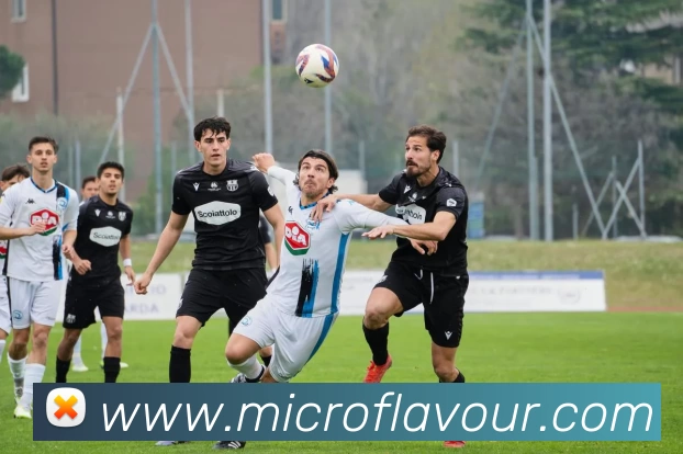 k1体育39152十年品牌服务体系